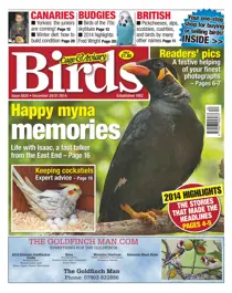 No.5835 Happy myna memories 
                issue No.5835 Happy myna memories