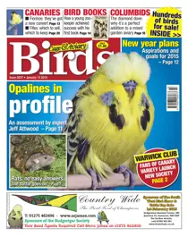 No.5837 Opalines in profile 
                issue No.5837 Opalines in profile