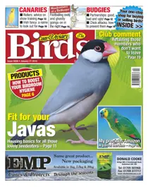 No.5838 Fit For Your Javas 
                issue No.5838 Fit For Your Javas