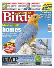 No.5840 Ideal Softbill Homes 
                issue No.5840 Ideal Softbill Homes