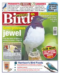 No.5841 Semi-precious Jewel 
                issue No.5841 Semi-precious Jewel