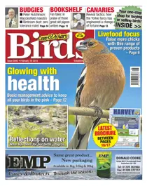 No.5842 Glowing with Health 
                issue No.5842 Glowing with Health