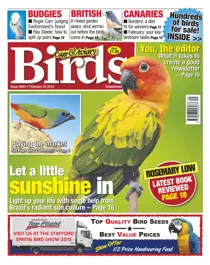 No.5843 Let a Little Sunshine in 
                issue No.5843 Let a Little Sunshine in