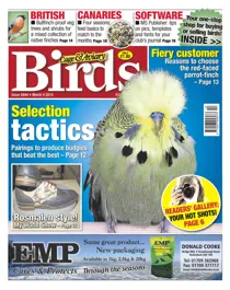 No.5844 Selection Tactics 
                issue No.5844 Selection Tactics