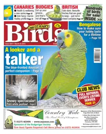 No.5847 A looker and a Talker 
                issue No.5847 A looker and a Talker