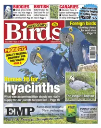 No.5850 Home Fit For Hyacinths 
                issue No.5850 Home Fit For Hyacinths