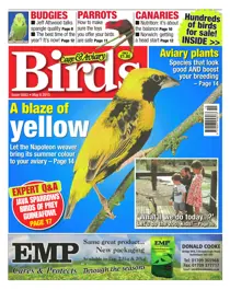 No.5853 A Blaze of Yellow 
                issue No.5853 A Blaze of Yellow