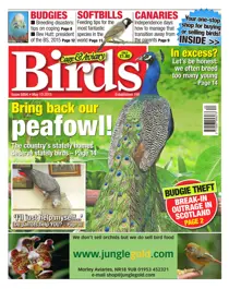 No.5854 Bring Back Our Peafowl! 
                issue No.5854 Bring Back Our Peafowl!