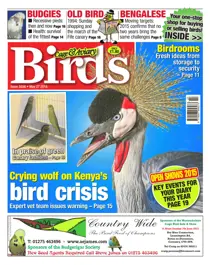 No.5856 Crying Wolf on Kenya's Bird Crisis 
                issue No.5856 Crying Wolf on Kenya's Bird Crisis
