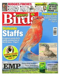 No.5857 Stateside Staffs 
                issue No.5857 Stateside Staffs