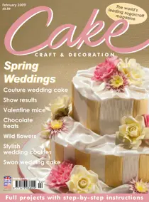 February 2009 
                issue February 2009