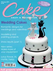 February 2011 
                issue February 2011