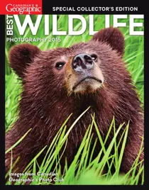 Best Wildlife Photography 2015 
                issue Best Wildlife Photography 2015