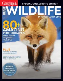 Best Wildlife Photography 2016 
                issue Best Wildlife Photography 2016