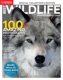 Best Wildlife Photography 2017 
                issue Best Wildlife Photography 2017