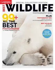 Best Wildlife Photography 2018 
                issue Best Wildlife Photography 2018