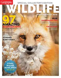 Best Wildlife Photography 2019 
                issue Best Wildlife Photography 2019
