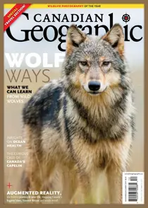 November/December 2019 
                issue November/December 2019