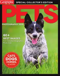 Pets Photography 2015 
                issue Pets Photography 2015