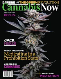 Issue 16 
                issue Issue 16