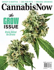 Issue 25 
                issue Issue 25