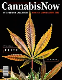 Issue 32 
                issue Issue 32