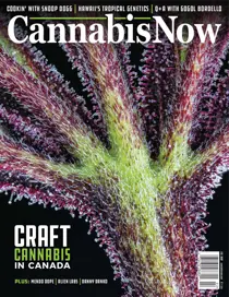 Issue 35 
                issue Issue 35