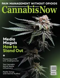 Cannabis Now Issue 37