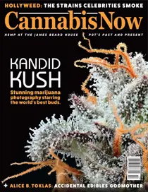 Cannabis Now Issue 39