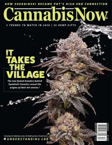 Cannabis Now Preview
