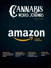 Issue 2 
                issue Issue 2