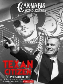 Issue 38 
                issue Issue 38