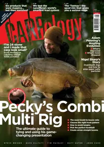 Issue 265 
                issue Issue 265