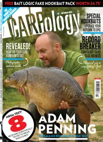 Issue 91 
                issue Issue 91