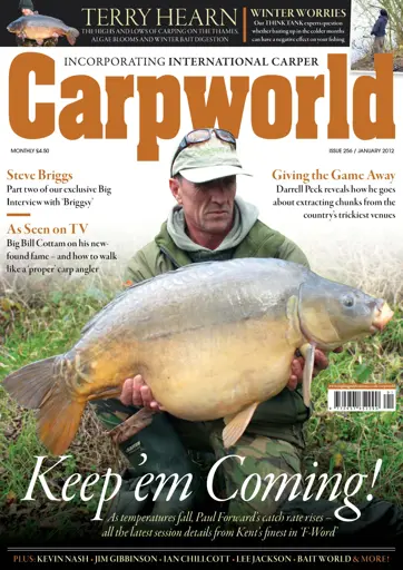 Carpworld Preview