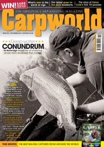 Carpworld November 2014 
                issue Carpworld November 2014