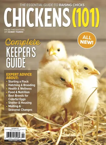 Chickens Magazine Preview