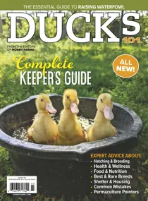 Chickens Magazine 2024-03 (Ducks 101)