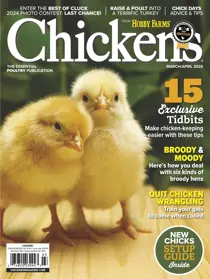 Chickens Magazine Complete Your Collection Cover 2