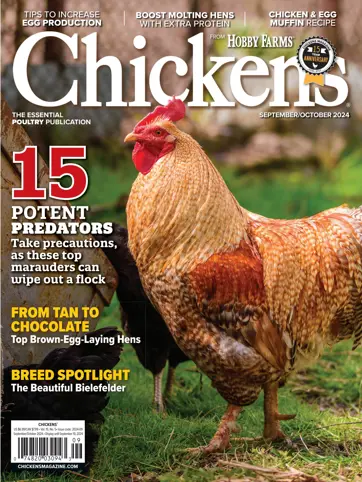 Chickens Magazine Preview