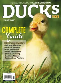 2025-03 (Ducks 101) 
                issue 2025-03 (Ducks 101)