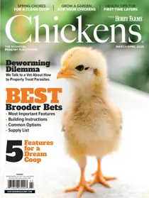 Chickens Magazine 
                issue 2026-03 (Mar/Apr)