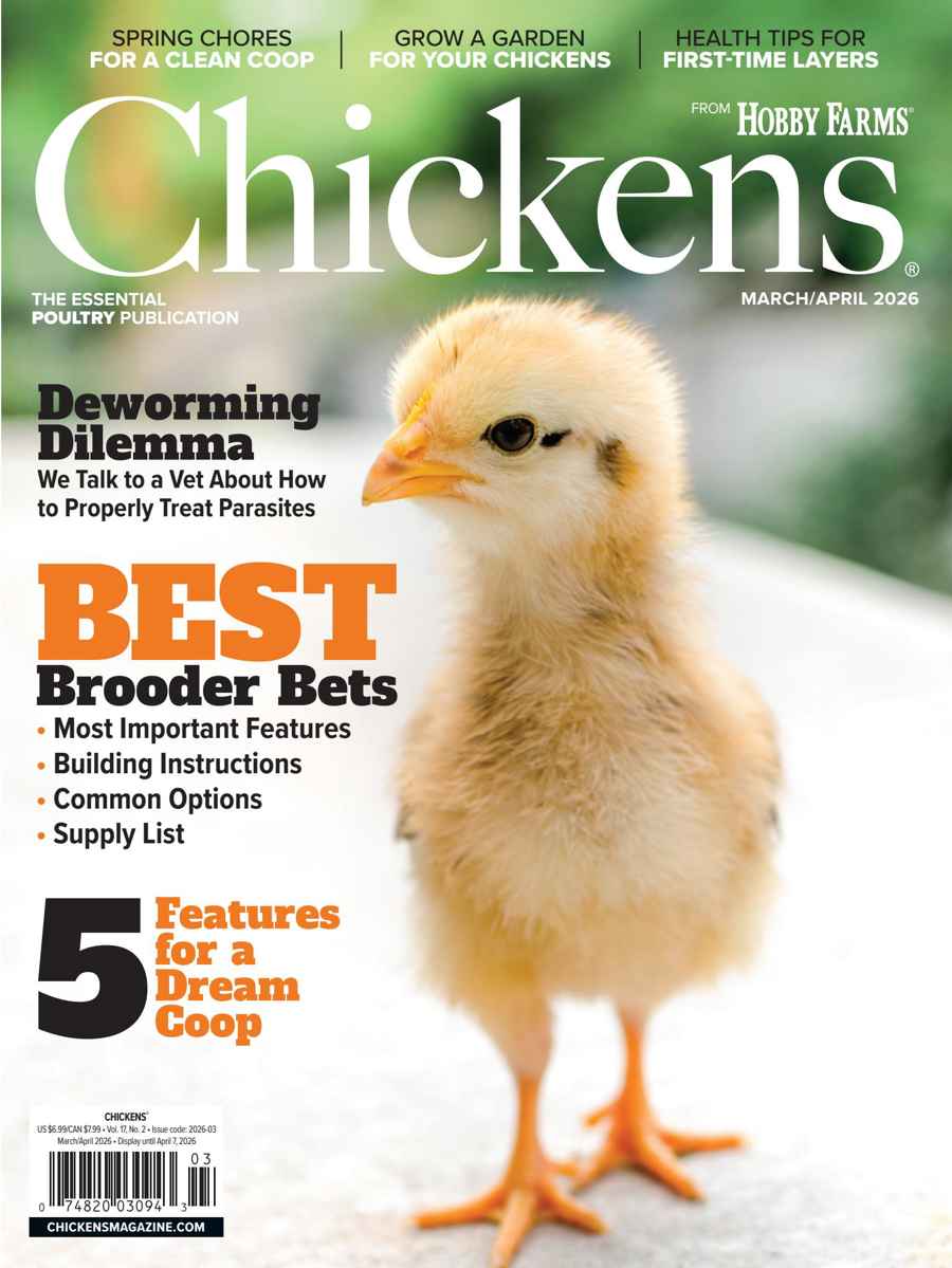 Chickens Magazine issue 2026-03 (Mar/Apr)