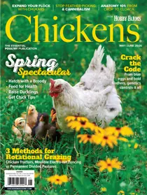 Chickens Magazine 
                issue 2026-05 (May/Jun)