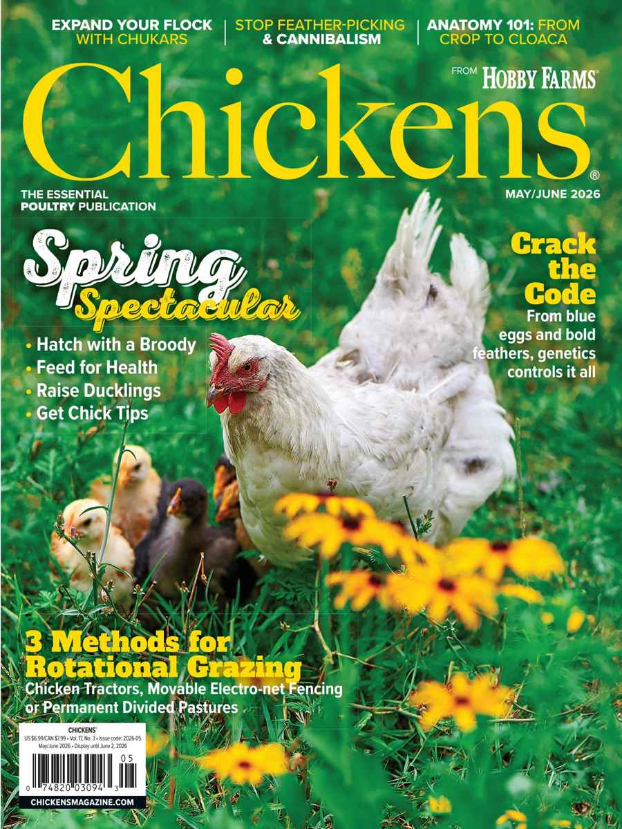 Chickens Magazine issue 2026-05 (May/Jun)