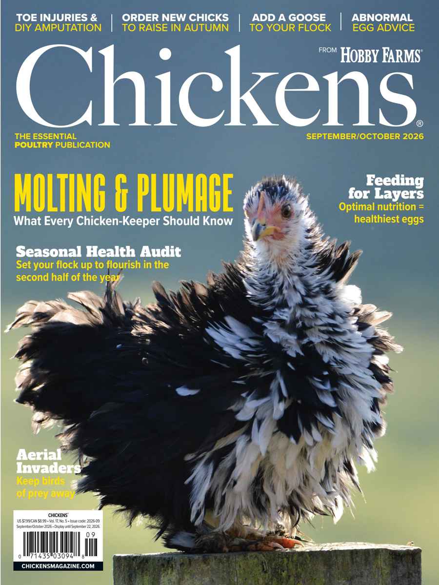 Chickens Magazine issue 2026-09 (Sep/Oct)
