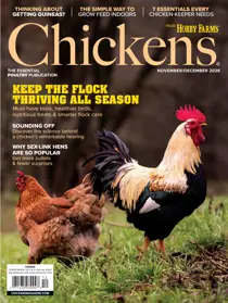 Chickens Magazine 
                issue 2026-12 (Nov/Dec)