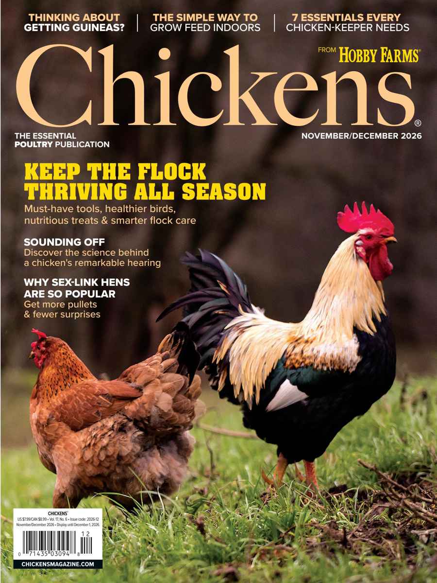 Chickens Magazine issue 2026-12 (Nov/Dec)