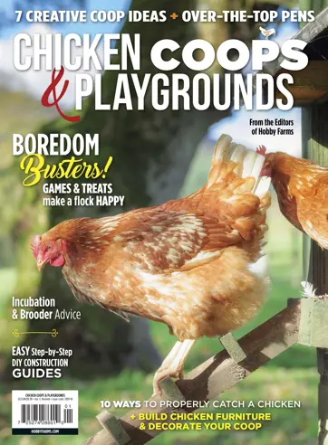 Chickens Magazine Preview