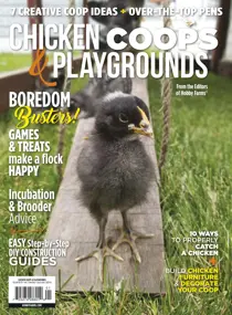 Chicken Coops and Playgrounds 
                issue Chicken Coops and Playgrounds